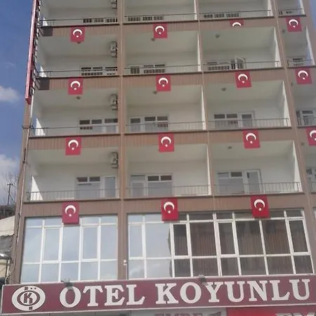 Koyunlu 2* أنقرة