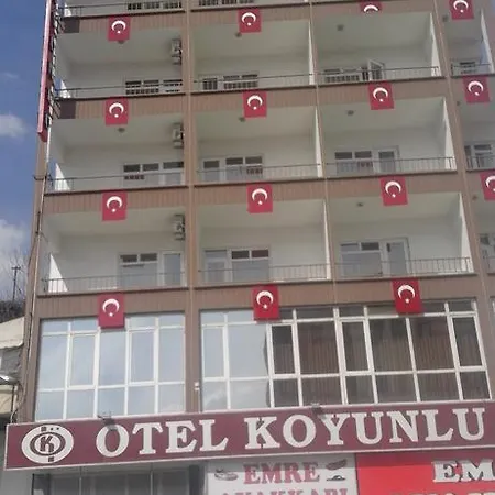 فندق Koyunlu