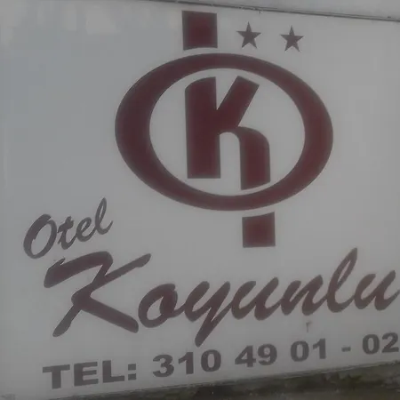 فندق Koyunlu أنقرة